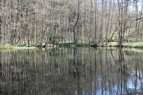 Eduardstal 2