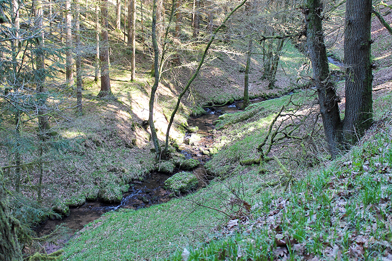 Eduardstal