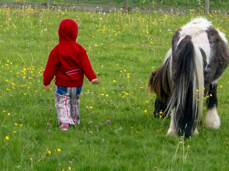 Kind mit Pony