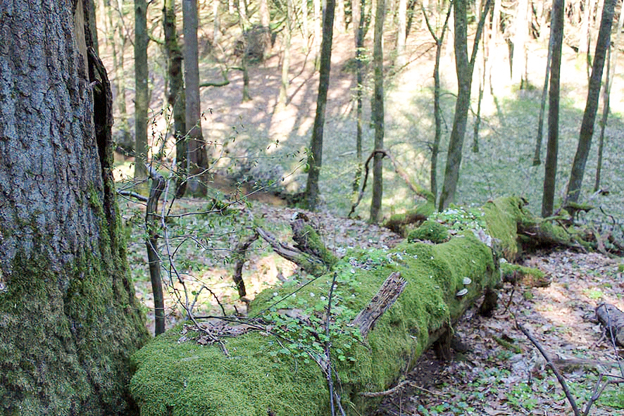 Eduardstal