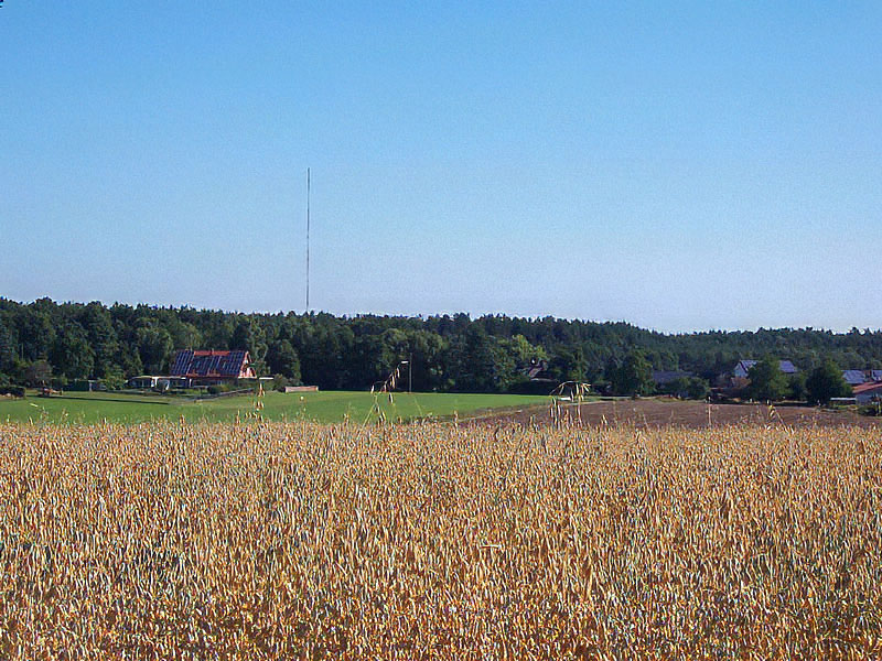 Feld