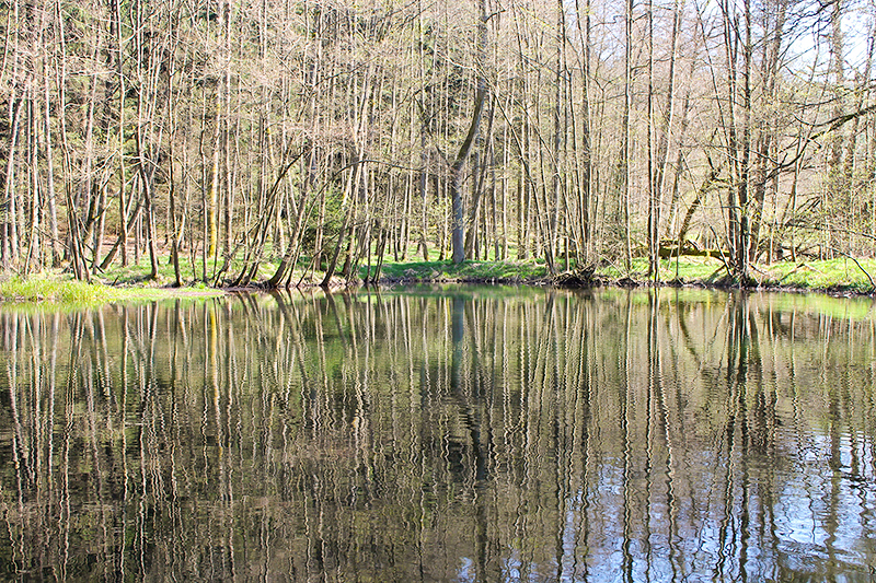 Eduardstal